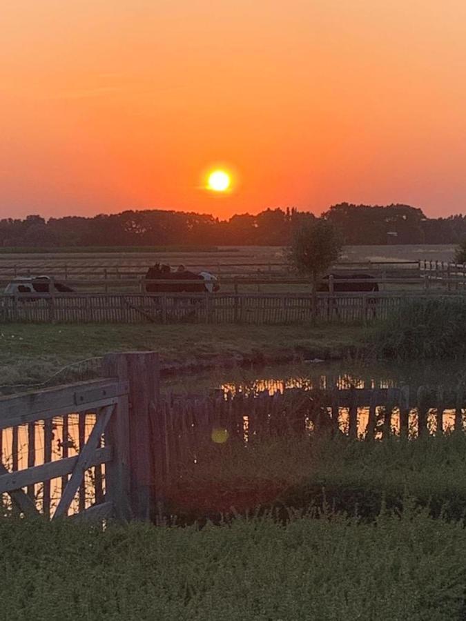 Vakantiehoeve 'T Goed Ter Leeuwen De Haan Esterno foto