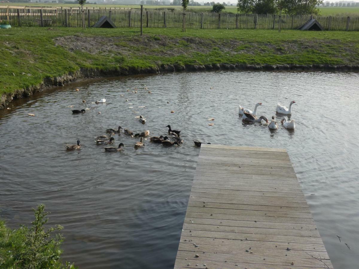 Vakantiehoeve 'T Goed Ter Leeuwen De Haan Esterno foto