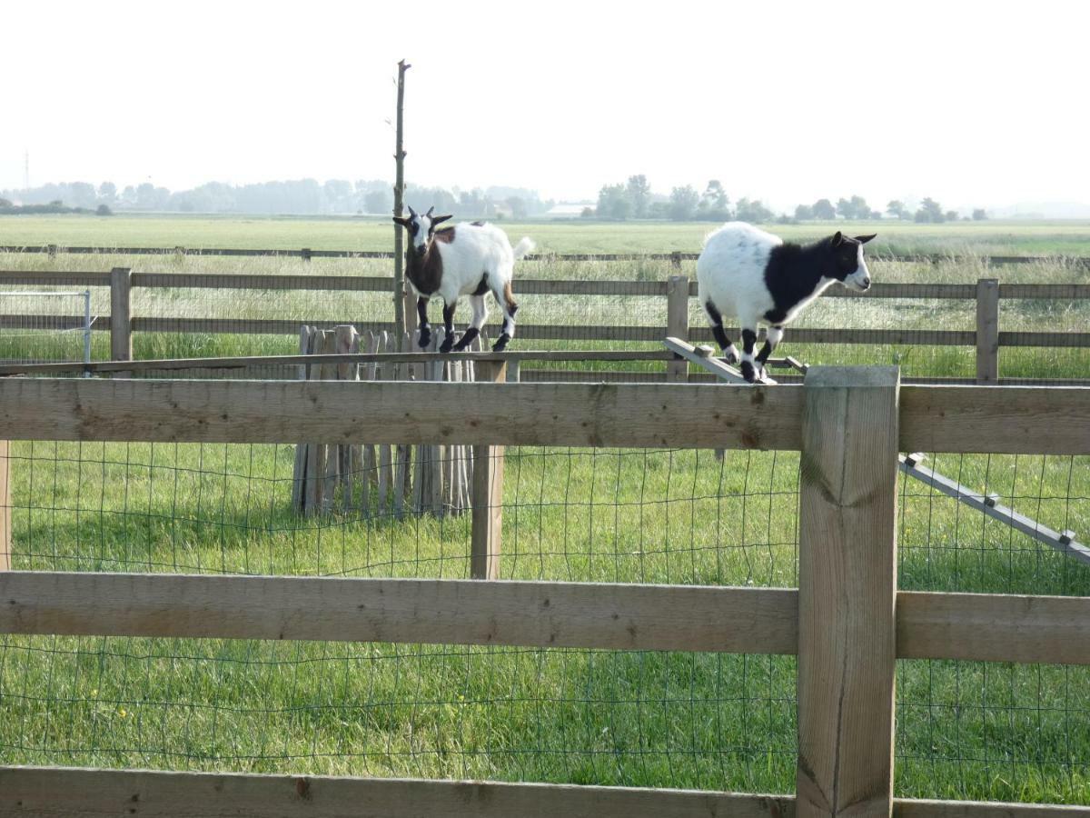 Vakantiehoeve 'T Goed Ter Leeuwen De Haan Esterno foto